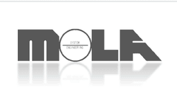MOLA System Engineering